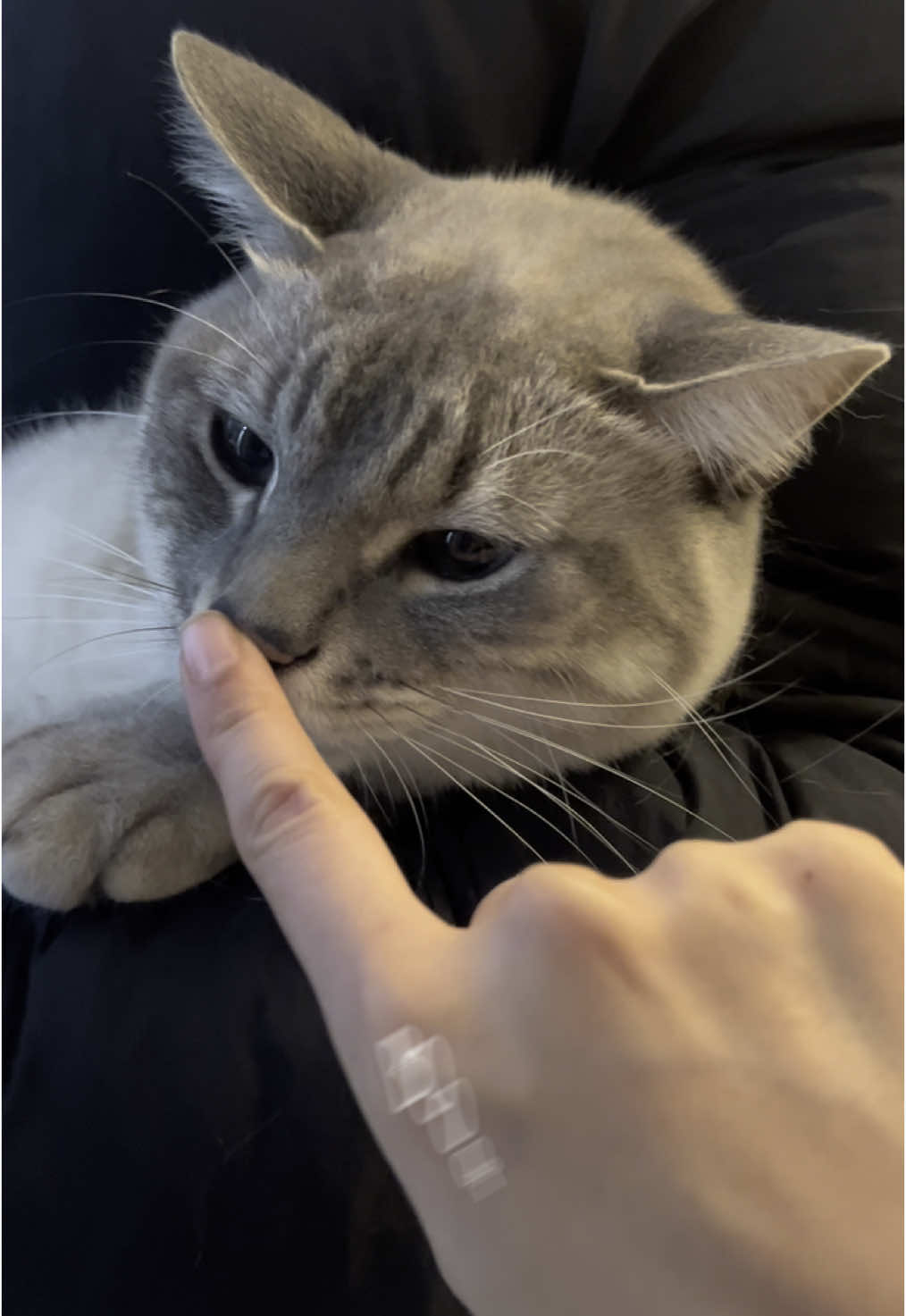 BOOPING THIS CUTIIEEEEE TAGAADAAAA 😍😍🥹