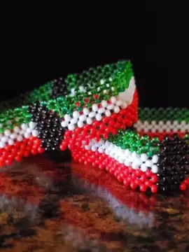 💚❤️🤍 #somalilandtiktok💚🤍❤ #landers #💚❤️ 