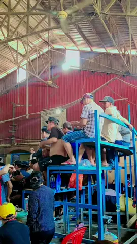 cồn5 hôm nay giải quá đông 