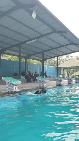 #calonkowad #casistnipolri #binsikrenang #binsik #renang #tentaraindonesia #harapanorangtua #komando #casistni #atlet #fyppppppppppppppppppppppp 