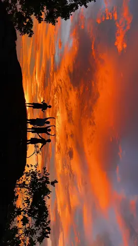 Seperti biasa lagunya bisa diulang, tidak dengan kenangannya 