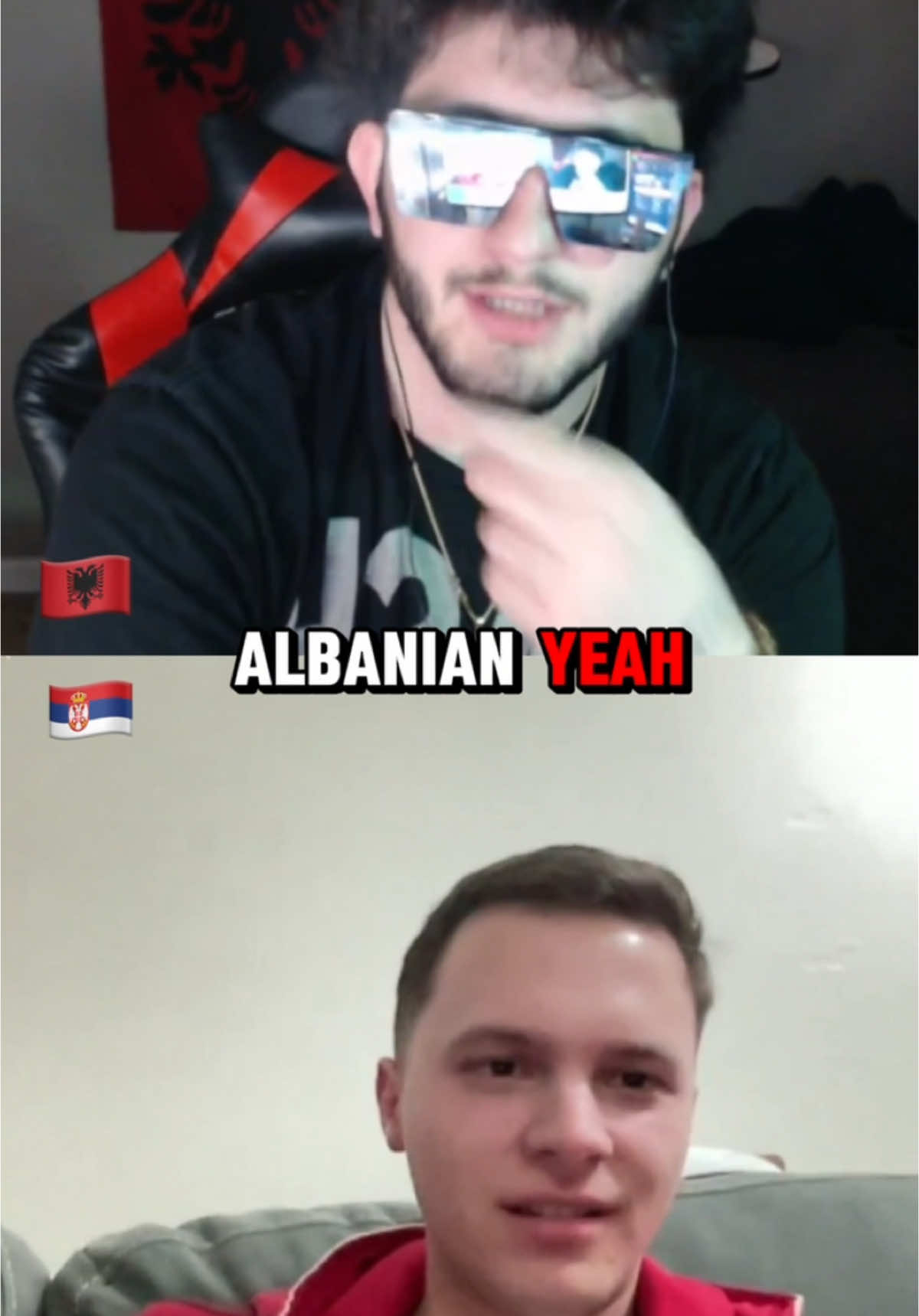 The weenie dog  #albaniantiktok #kosova #shqiptaretneperbote #balkan #balkantiktok #nokster #fyp #viralvideo