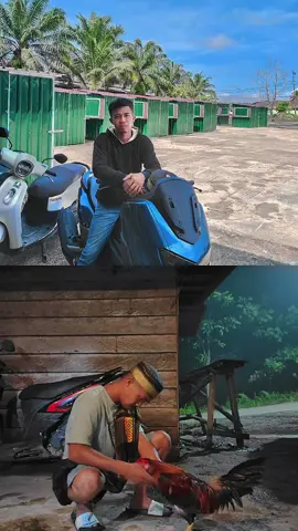 #fyppppppppppppppppppppppp #kallolo_Pinrank #bugissulawesisidrap 