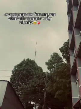 #tiktok #foryou অথচ সে আমাকে মনেই রাখেনি!😄💔