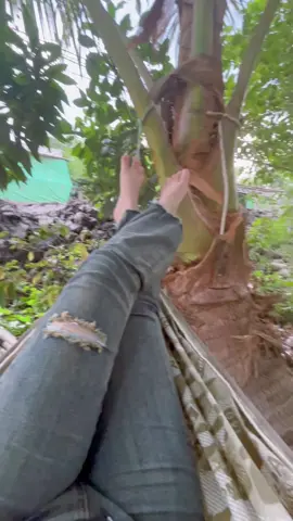 Quần e bận còn rách làm sauu em yêu anh #tt #huynhnhuxinhgai #xụuongtiktok #xhtiktok #tiengiang63🍍🍍 