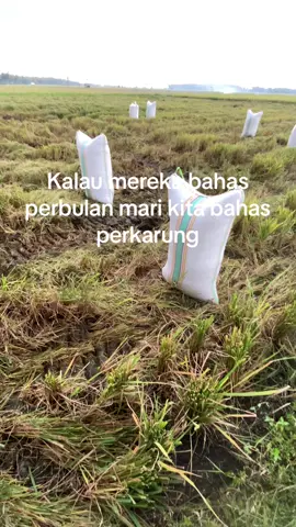 mode✈️lagi#kubotadc70plus #wijapaggalung #petanimuda #fypシ゚ 