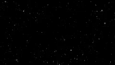 #اغاني_عراقية #وين_تريد_خليها #اكسبلورexplore #fyp #tik_tok 