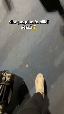 păzeaaaaa😂🤦🏻‍♂️ #cool #viralvideotiktok #viralditiktok #foryouu #FunkNoCapCut #Funk #Biscoitocut #CapCut #foryoupage❤️❤️ #fyppppppppppppppppppppppp #foryoupp #foryo #dyp #farcas #fyy #viralllllll #viralvideos #fyp #viral_video #foryoupageofficial #pescobar 