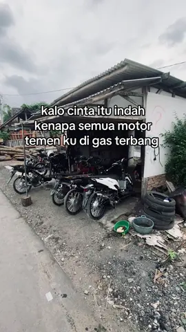 korban” tampok resing@PAKRIO765 @𝘽𝙄𝙍𝙊𝙓𝙎 ✨ @varmii @luczy53tbecu #167 #race201m #lintasan201m🏁 #4you #xzycba #fypシ゚viral 