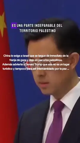 #politicaltiktok 