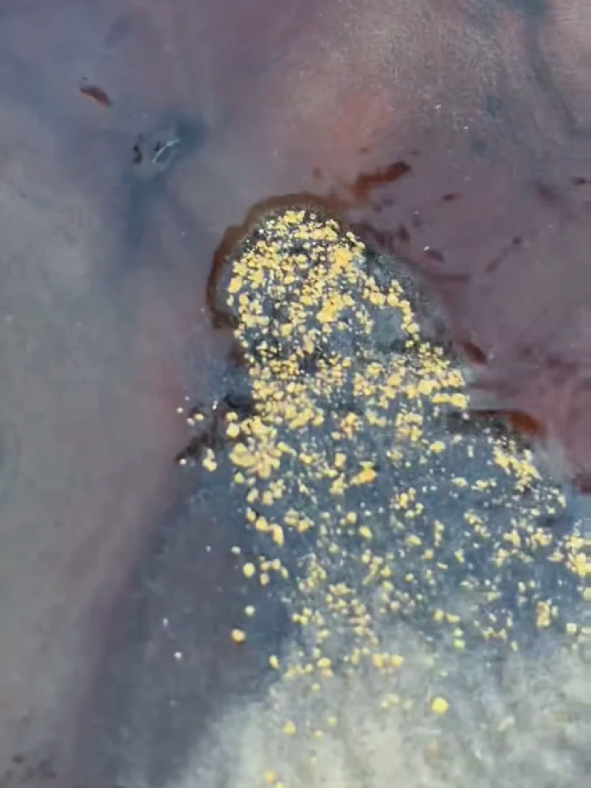 So Crazy.‼️😱 we found a lot of gold from yellow material#viralvideo #goldhunter #mininggold #goldpanning #golddiscovery #gold #foryou #foryoupage 