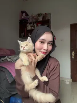 galak bgt