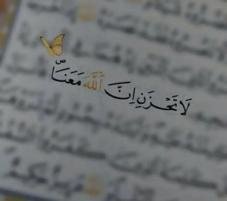 #حالات_واتس #اكسبلور_تيك_توك #سوني #هشتاك_تيك_توك #تصميم_فيديوهات🎶🎤🎬 #القران_الكريم #اكسبلور #شعب_الصيني_ماله_حل😂😂 #مجرد________ذووووووق🎶🎵💞 