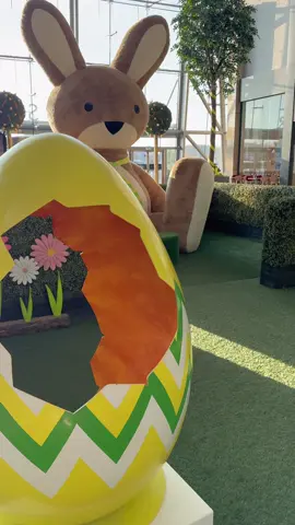 🐣 Silverburn is packed with family fun this Easter! 👇 🐰 Snap a selfie with Bernie the Easter Bunny 🍫 Pick up your Easter treats from Hotel Chocolat 🚗 Grab a Kiddy Car and finish your shopping in style 🐠 Blow off some steam at Ocean Adventures 🍕 Refuel with Zizzi’s Bambini menu 🍿 See a movie at Cineworld - Snow White and A Minecraft Movie are both screening now!