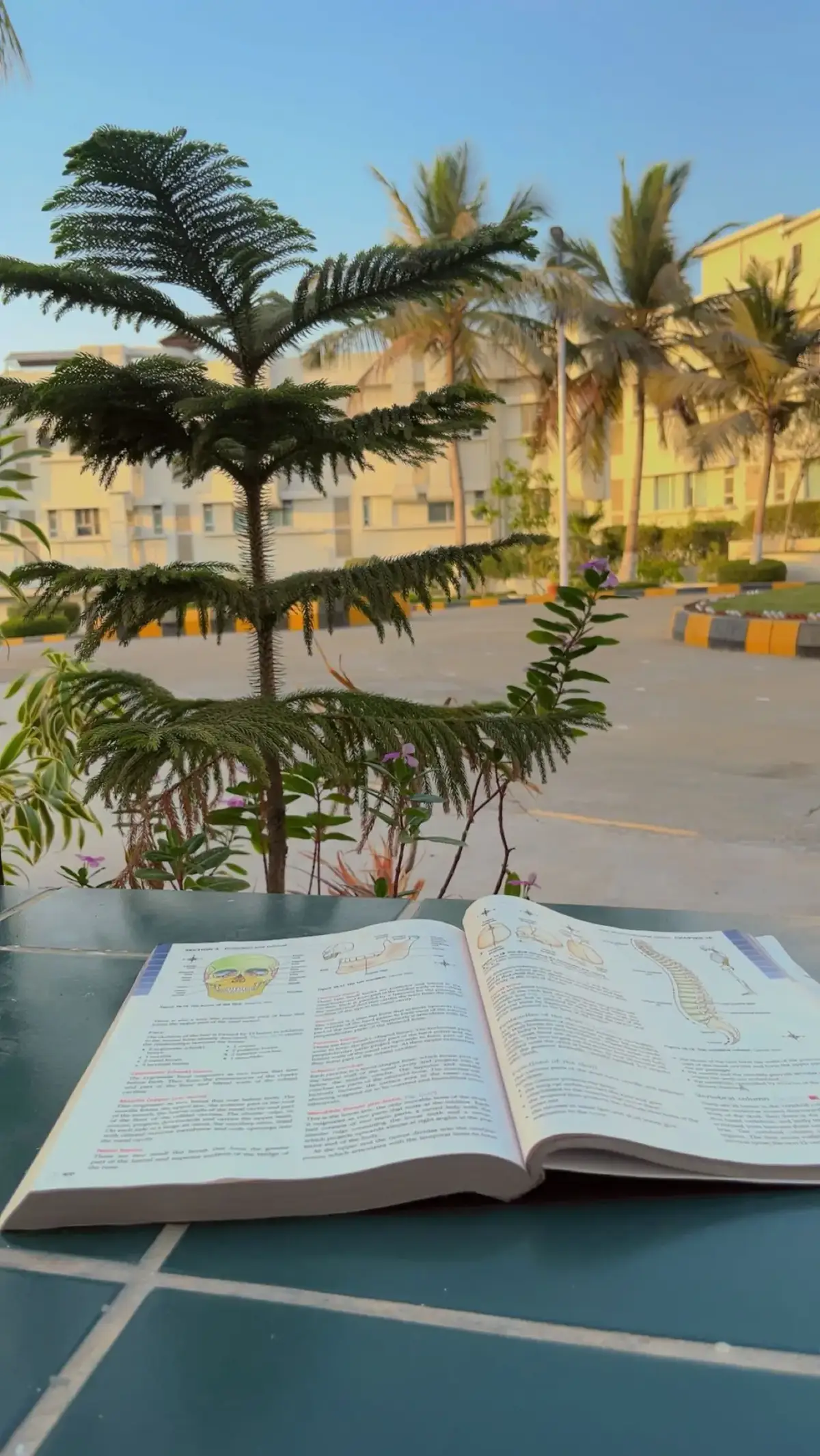 🤍 #Mids #university #nursingstudent #bsn #liaquatnationalcollegeofnursing #universitylife❤️ #study #trending #viral #foryou #foryoupage #Love #nurse 