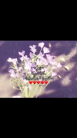 ثقه ..؟🎀😂.#منشن #fypシ゚viral #اكسبلورexplore #صعدو_الفيديو_حته_استمر #تصميمي 