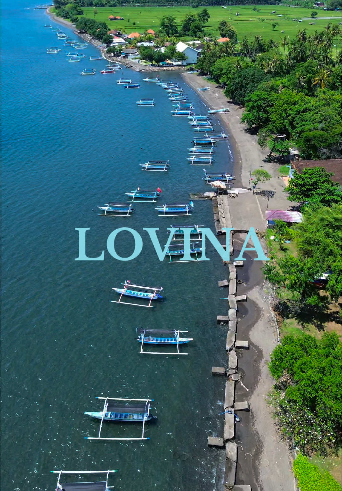 When life feels like a movie  #lovinadolphins #traveltiktok #magicmoment #lovina #fyp 