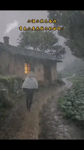 #rainyday #cozyroom #relaxation #cabinlife #foryouu #fyt 