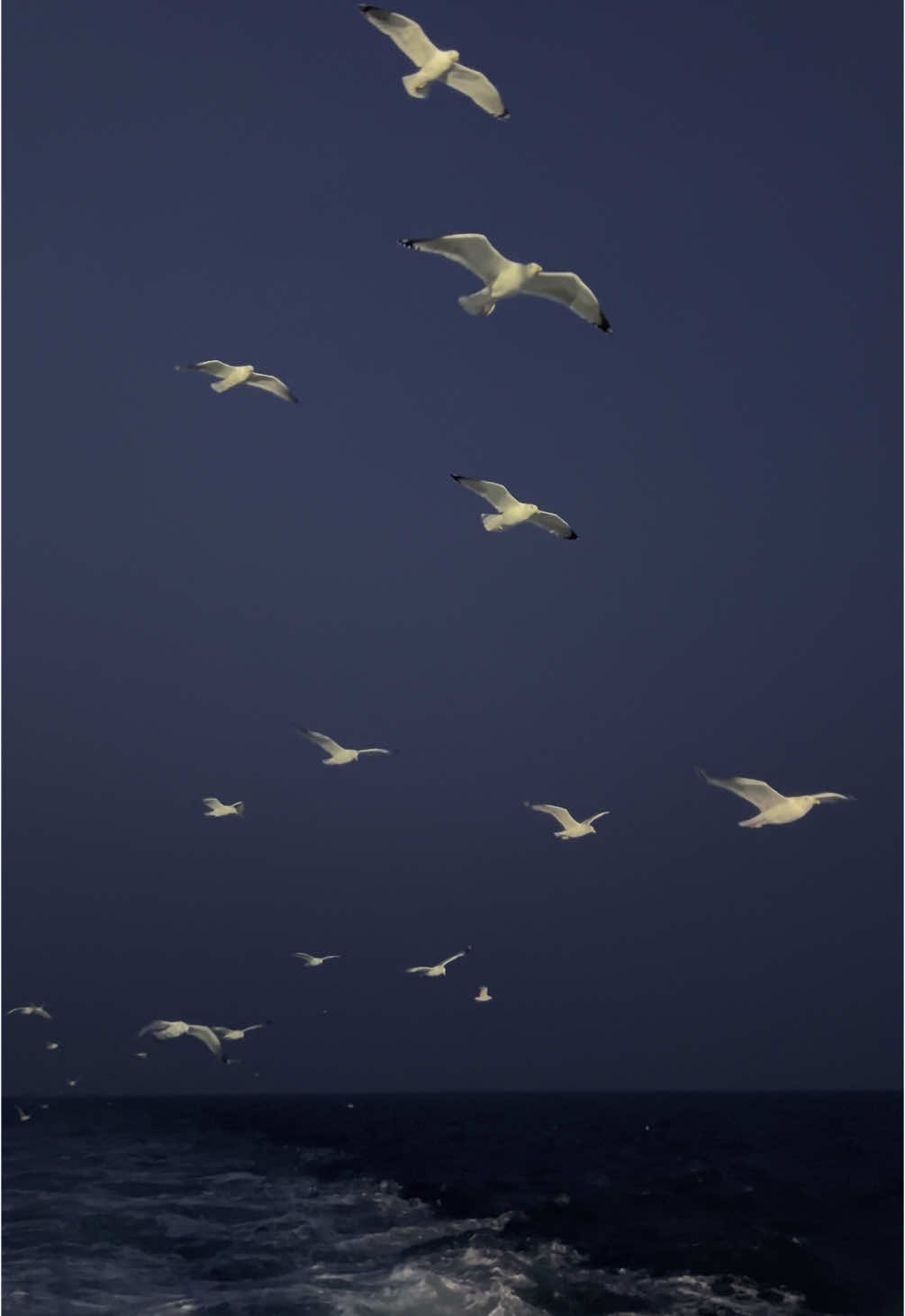 Ngắm hoàng hôn mà quên trời tối..! #fyp #tiktok#tinhyeu 