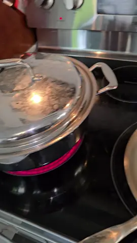 New dry brine chicken method on my steel pan