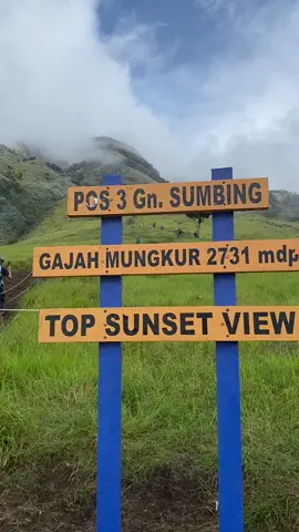 sumbing via gajah mungkur 12 april cakep #sumbingmountain #sumbingviagajahmungkur #mountain 