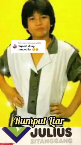 Membalas @andria2505 rumput liar -Julius Sitanggang #lagulawas #70an80an90an #lagunostalgia #fyppppp #fypviraltiktok🖤シ゚☆♡ 