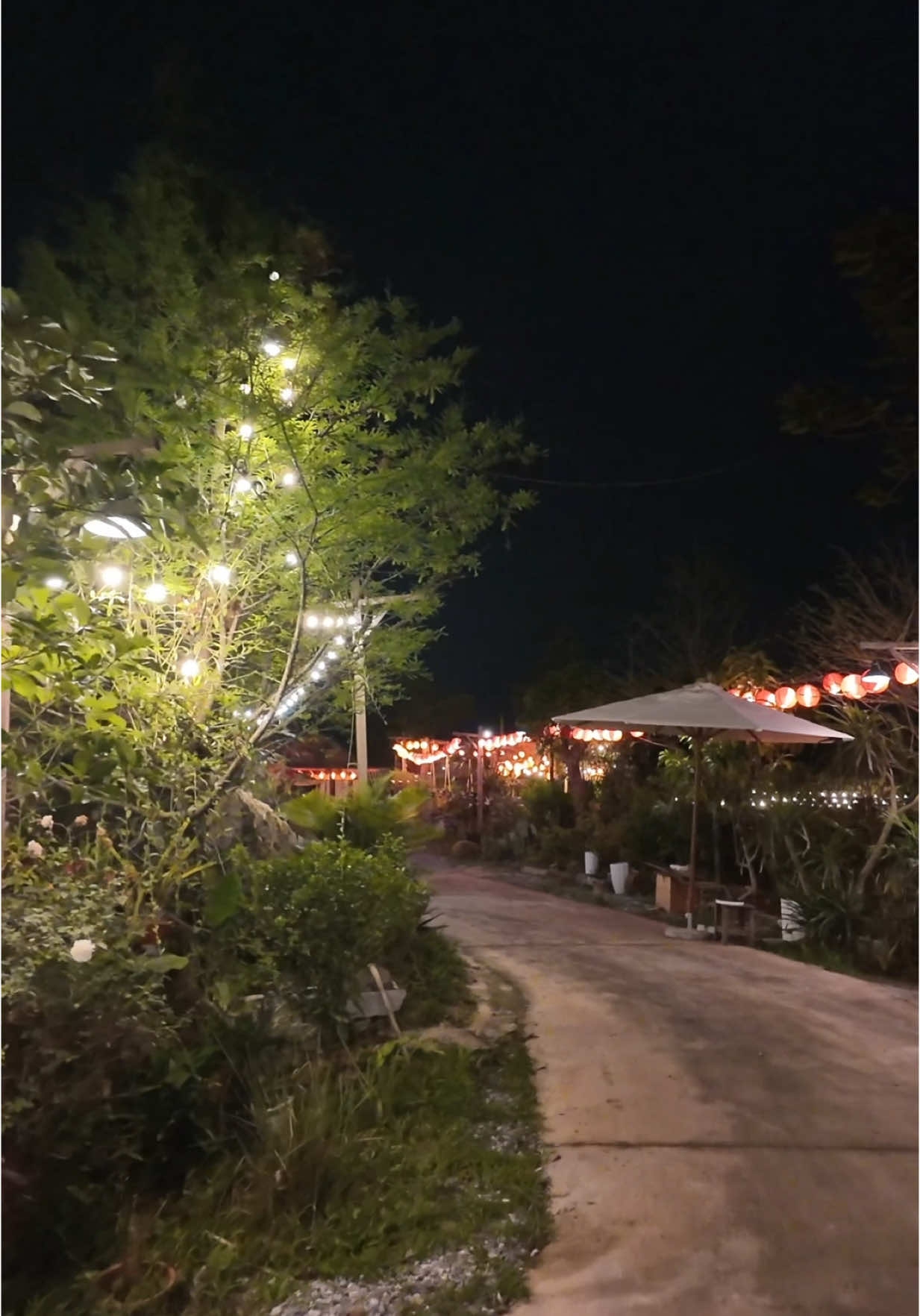 bỏ phố về quê nghỉ hưu non. mình nhận lại được Thanh Xuân 🪴 #thanhxuanquan #xuhuong #dalas 