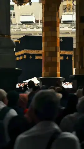 #CapCut #shalawat #yanabi #yanabisalamalaika #nabimuhammad  #mekkah #madina 