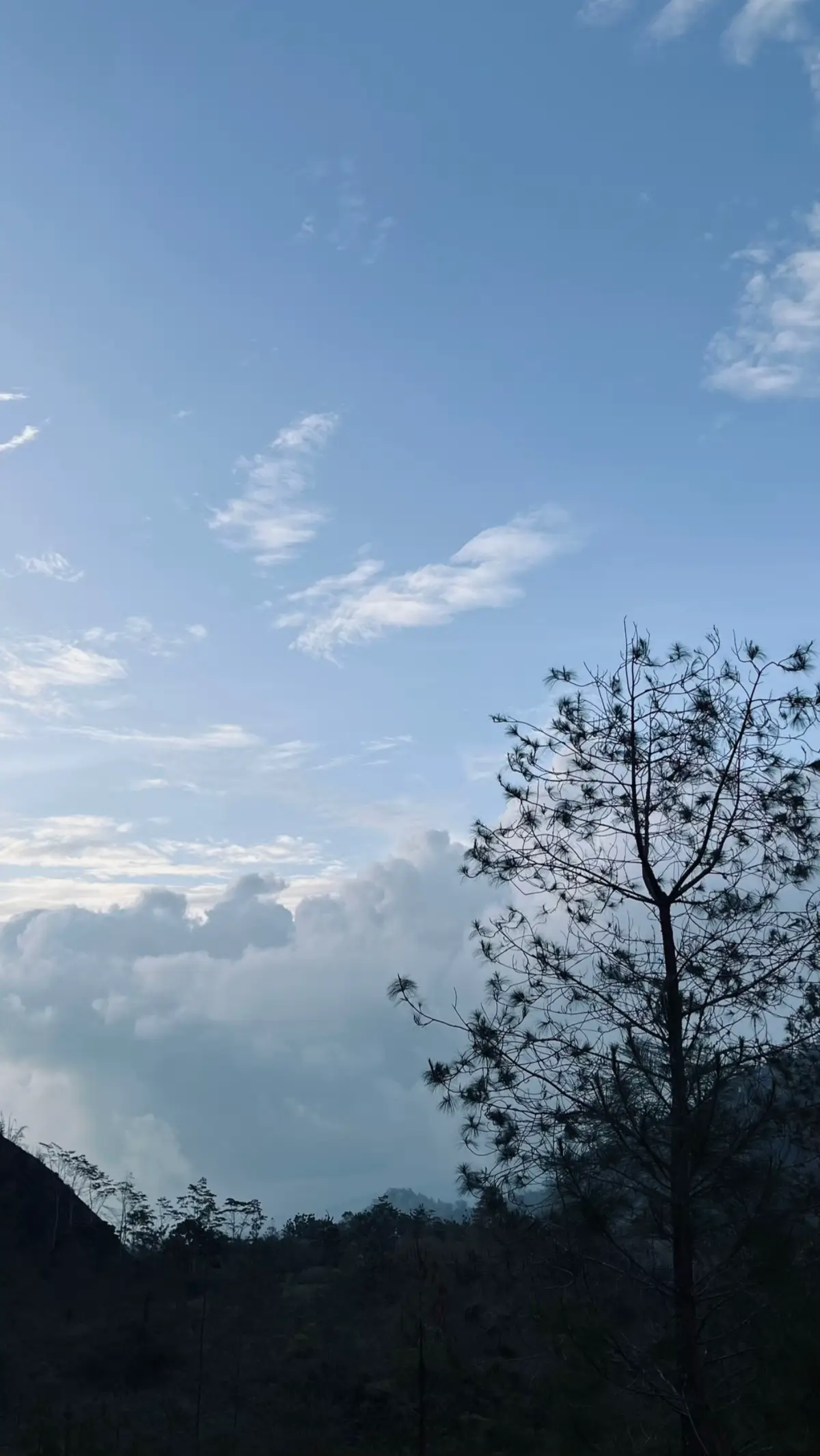 Sudah ku lepas ya sayang. Bukan karena aku berhenti peduli, tapi karena aku ingin kamu benar-benar menemukan apa yang selama ini kamu cari. Aku tau kamu punya dunia sendiri, impian-impian yang kadang bahkan tidak sempat kamu ceritakan semua. Dan aku hanya ingin kamu bisa sampai di sana, di tempat yang bikin kamu merasa utuh dan dicintai sebagaimana kamu mau. Aku ingin kamu bertemu seseorang yang bisa kamu genggam erat, tanpa ragu. Seseorang yang tidak membuatmu bertanya-tanya, yang tidak membuatmu merasa perlu jadi orang lain. Aku harap dia sabar, paham caramu diam, caramu marah, caramu menjauh saat kamu sedang kacau. Aku harap dia tau, kadang kamu menyakitkan bukan karena ingin menyakiti, tapi karena itu satu-satunya cara kamu melindungi diri dari hal-hal yang tidak bisa kamu jelaskan. Kalau nanti kamu ketemu dia, orang yang kamu benar-benar pilih tanpa ragu, tolong jaga dia baik-baik, ya. Jangan ulangi hal-hal yang dulu kamu lakukan padaku. Jangan buat dia merasa sendiri saat dia cuma ingin kamu ada. Jangan diamkan dia saat dia butuh kamu bicara. Dan yang paling penting, jangan abaikan kehadirannya, seperti kamu dulu terbiasa mengabaikanku yang selalu tinggal. Aku tidak pernah menyesal mengenalmu. Tidak juga menyesal jatuh sedalam itu. Aku cuma ingin kamu bahagia, meski kali ini, aku tidak lagi berdiri di sampingmu. Rasanya memang aneh melepas seseorang yang masih sangat aku doakan. Tapi itulah caraku mencintaimu sekarang, dari jauh, tanpa suara, tanpa paksaan. Dan jika nanti kamu menemukan kebahagiaan yang selama ini kamu cari, aku harap itu bukan karena kamu lupa dengan aku, tapi karena kamu akhirnya menemukan seseorang yang mampu memberikan apa yang aku tidak bisa. Aku ingin kamu merasa puas, merasa lengkap, meski aku tau itu berarti kita harus berjalan masing-masing. Semoga kamu tau, aku selalu ingin yang terbaik untukmu, bahkan jika itu berarti melihatmu bahagia tanpa aku.