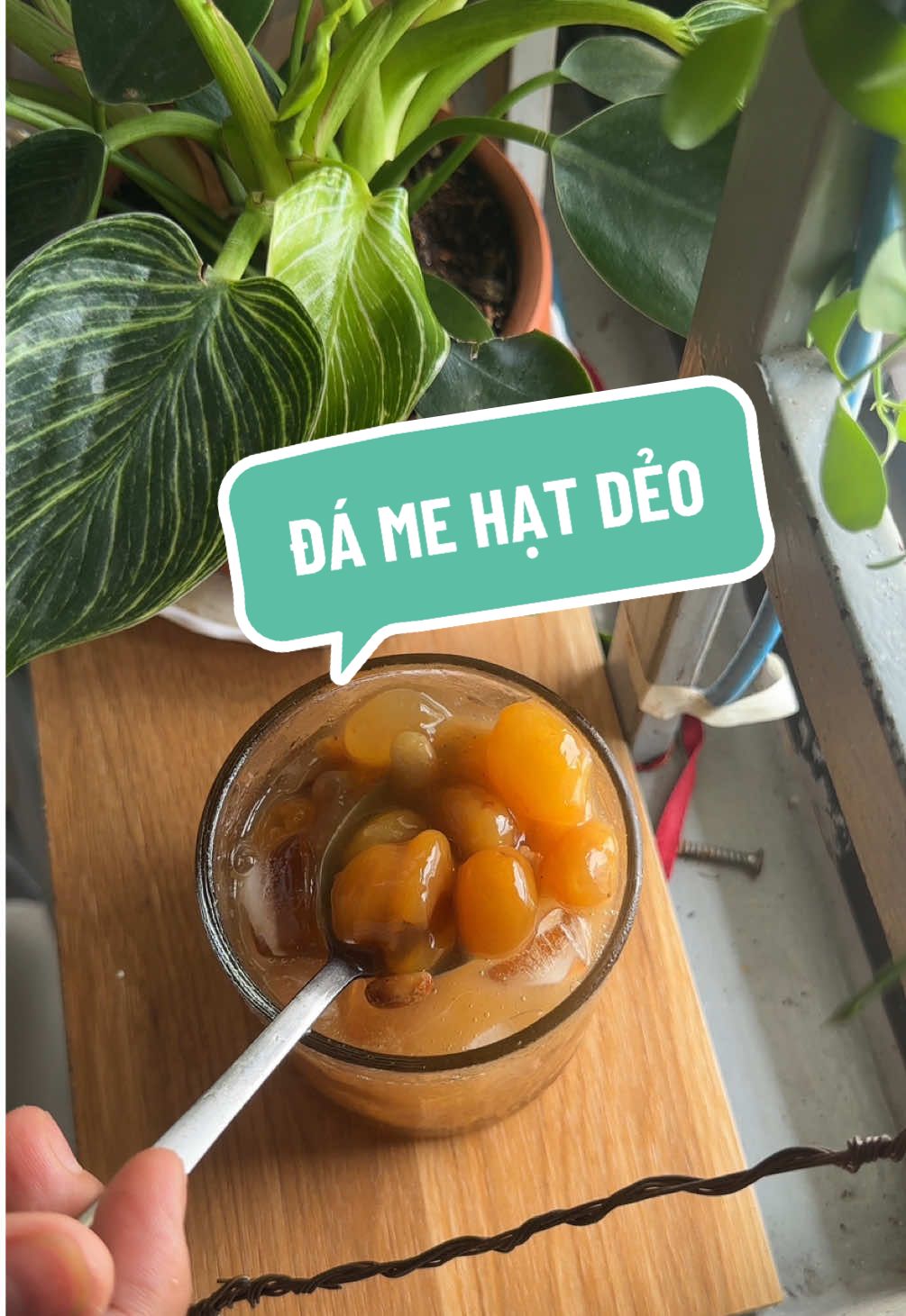 Đá me mí fen! #nhahiencoi #dame #damehatdeo #hatdac 