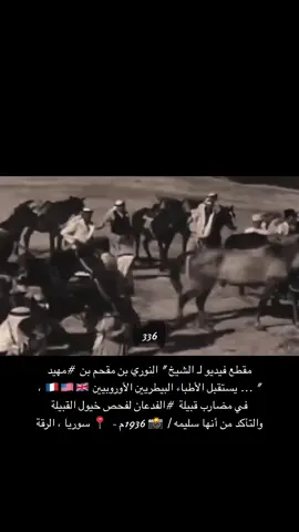 الأمير النوري ابن مقحم بن مهيد #مهيد #حاكم_بن_مهيد #مقحم_بن_مهيد #شيخ_المشايخ #مصوت_بالعشاء #حمران_النواظر #عيال_وايل #الفدعان #عنزه 