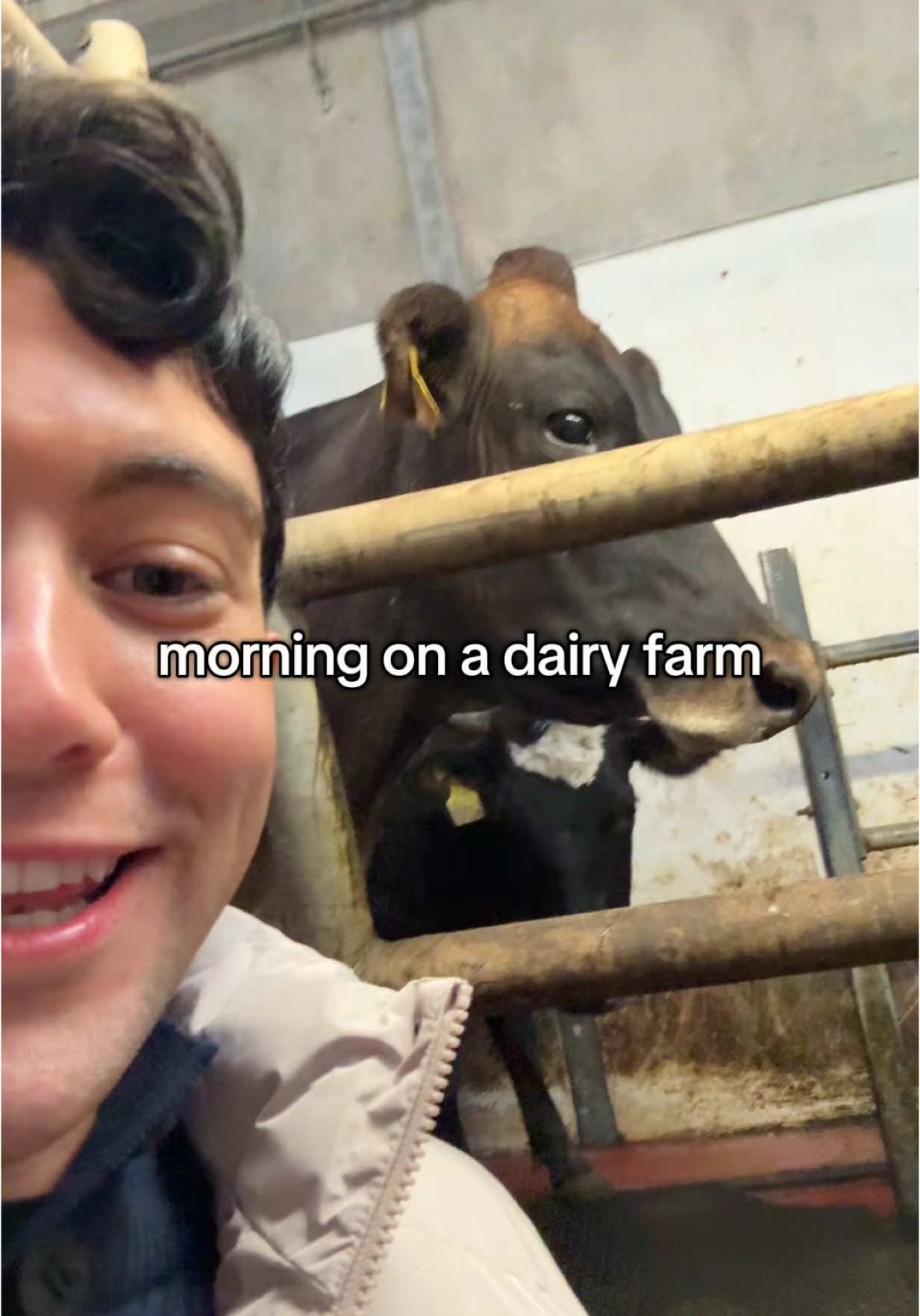 not done with the dairy farm content #dairyfarm #cowsmilk #ireland #cows #freshmilk #milkloversunite 