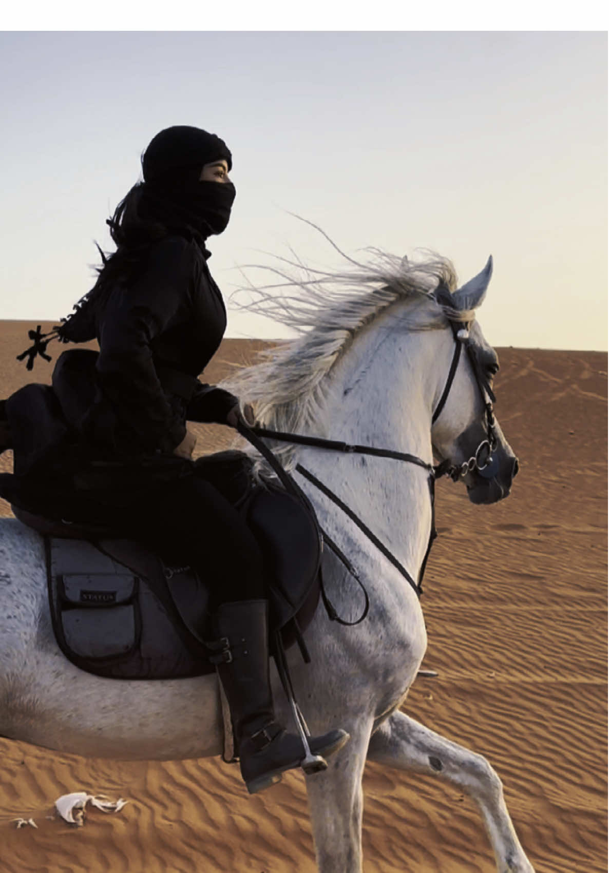 تو مازانت طلعات العصريه الرايقه .. تصوير المبدع @رائد القاسم 1🐎📸  #تصوير #خيل_وخياله🐎 #خيل #خيل_عربي_اصيل #اكسبلور #اكسبلورexplore #foryou #رحلات 