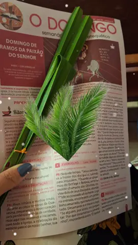 inicioSemanaSanta #DomingoDeRamos