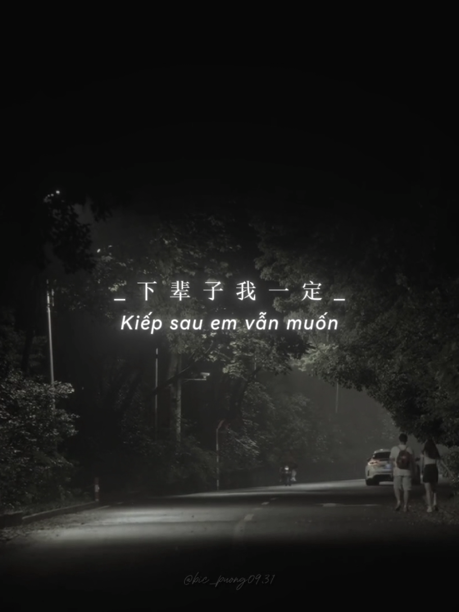 下辈子我一定 还要和你成个家..#staypositive♫ #aettentertainment #bic_puong0931 #nhactrung 