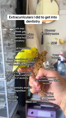 Before people start commenting this is too much I didn’t talk about half of this stuff at interview and personal statement bcs it didn’t fit so you don’t need to do all of this. I would have done some of the stuff e.g hospitality, Tutoring, NCS etc regardless of whether I was applying to dentistry or not #Fyp #Studytok #Stem #Dentistry #Medicine #UCAS #Sixthform #College #Year13 #Revision #UCAT