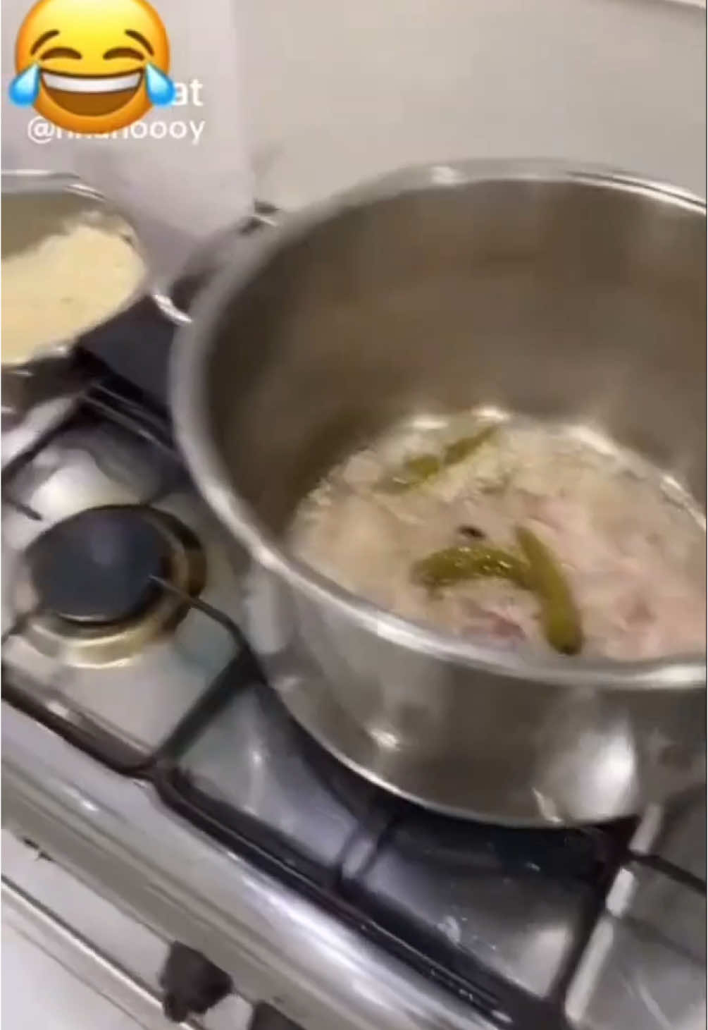 #ذبات و #قطات #الكويتيين الجزء الثاني 😂 هاني المواش