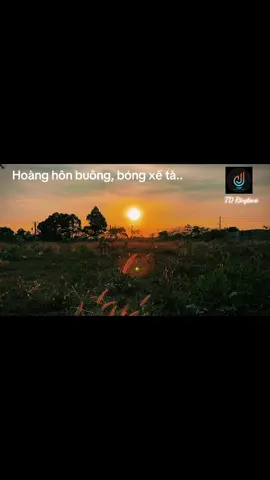 Ringtone📲 Ngắm hoàng hôn với bản nhạc du dương #nhacchuongdienthoai #nhacchuonghay #nhacchuongremix #trandang4747_ringtones 