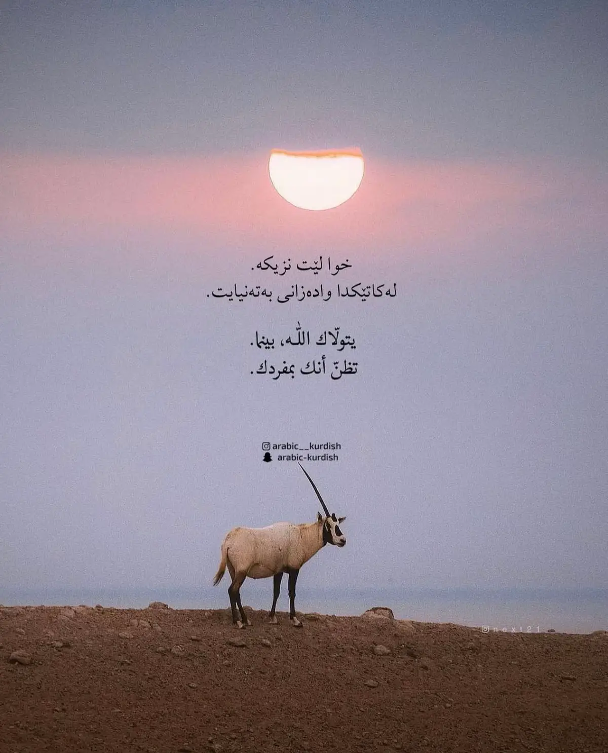 #arabic__kurdish 