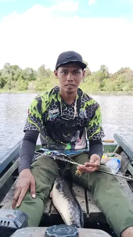 sahasia menaklukkan toman#lewatberanda #tomangoblin #castingtoman #fyp 