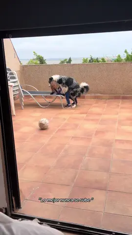 #parariiiiiiiiiiiiiiiiiiiiiiiiiiiiiiiiii #parati #paratiii #miedo#terror#ozuna#perro pedófilo