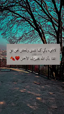 لاشيء يأتي كما نتمنى ولكن نحن على ثقة  بأن الله يخبئ لنا الأجمل 🤎🍂 .  #عبارات #معتزل🔒 