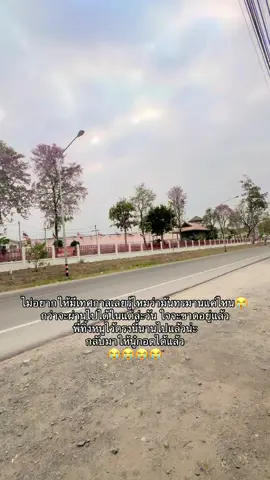 ใจจะขาดอยู่แล้ว😭😭 #เปิดการมองเห็น  #สตอรี่ความรู้สึก  #คิดถึง #เด็กใต้นครศรีธรรมราช  #รัก #เมียนักโทษชาย 