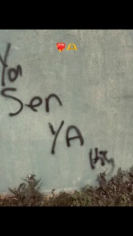 “Sevdiğini Etiketle..🖤🫶” #storylikvideolar🦅📌 #albunukeşfetetiktok #keşfetttttttttttttttttttttttttttttttt #şanlıurfaprovince #_1eyubiyesayfasi 