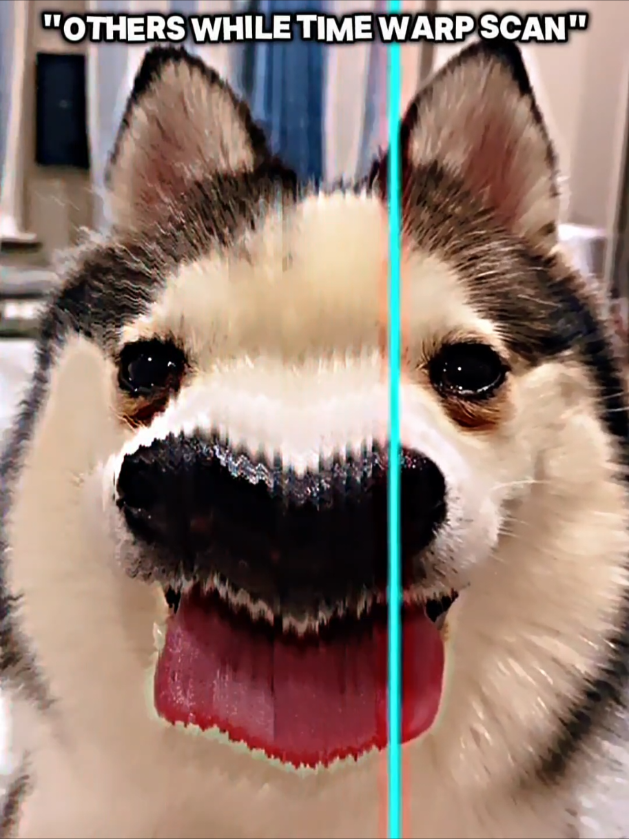 Last“Time Warp Scans”💀🤯🔥#best #trollface #edit #trendingvideo #face #foryoupage #funny #fyp 