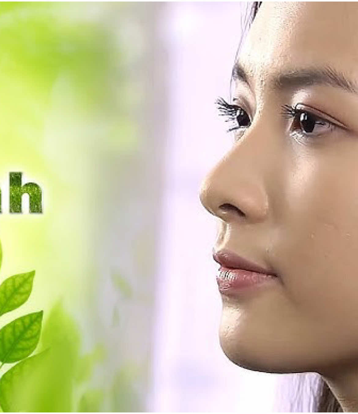 Phim Miền Xanh phần 38 #xuhuong #phimhaymoingay #mienxanh #phimhay 