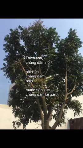 Lạ ha #xuhuong #xh #xuhuongtiktok #tiktok #cap2 #trending #viral 