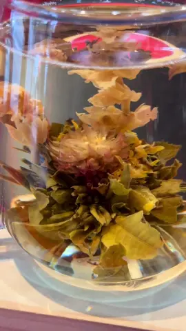 Trà Nở Hoa Nghệ Thuật, bạn đã thử chưa? #traviet #trahoa #nghethuat #phatra 