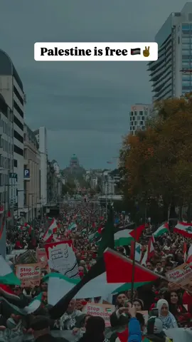✌🇵🇸 #fyp #viral #fy 