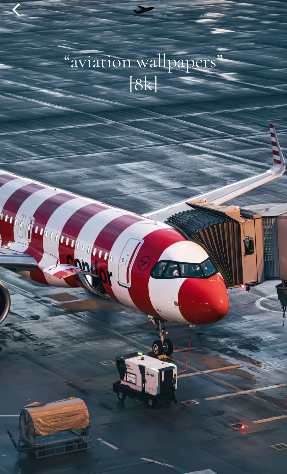 Aviation wallpapers [8k] #aviationlovers🌍🌍✈🛩🛫🛬🚁🚀🛸 #fypageシ #avgeek #fypage #fypage #virals 